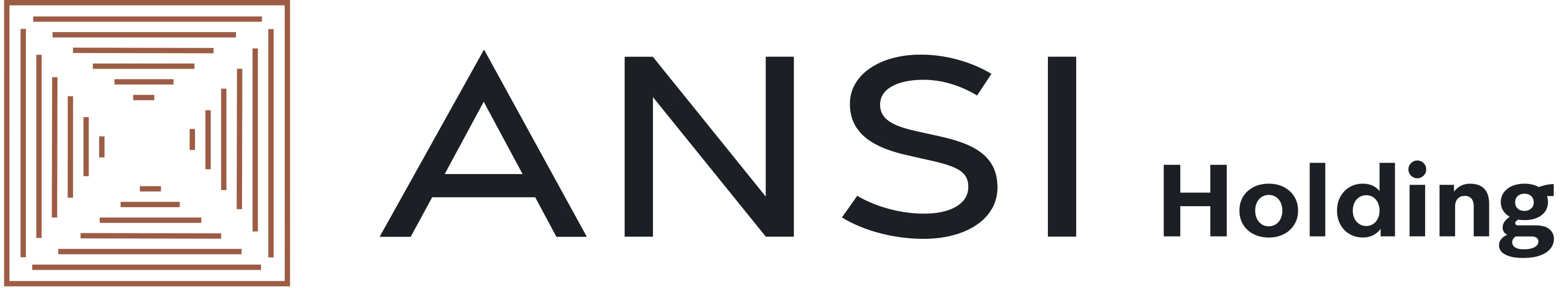 ANSI Holding 